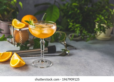 Champagne coupe glass of refreshing orange cocktail with ice served on gray table surface surround of orange fruit and different green plants, shallow depth of the field.
