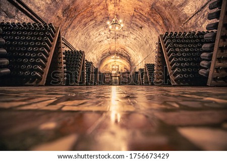 Champagne facory storehouse in the cellar