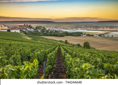 Champagne Region In France. A Beautiful View.