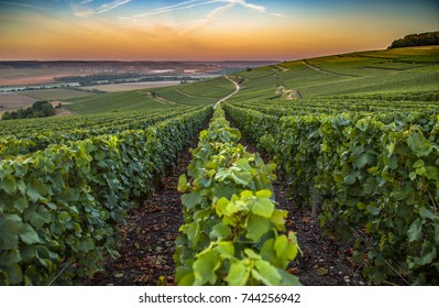 Champagne Region In France. A Beautiful View.