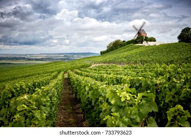 Champagne. Vineyard and windmill Champagne Region near Vernezay France 