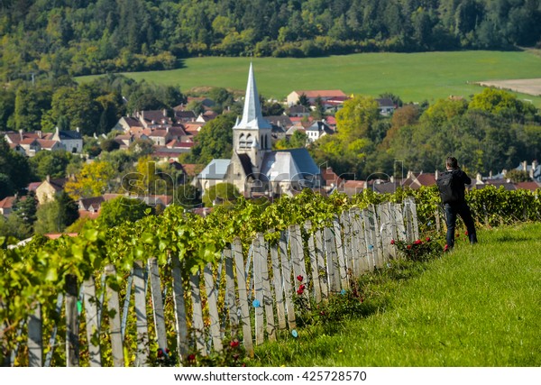 Champagne Vineyards Cote Des Bar Area Stock Photo 425728570 | Shutterstock