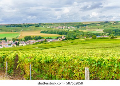 Champagner Frankreich Stock Photos Nature Images