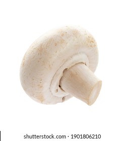 Champignon Isolated On A White Background.