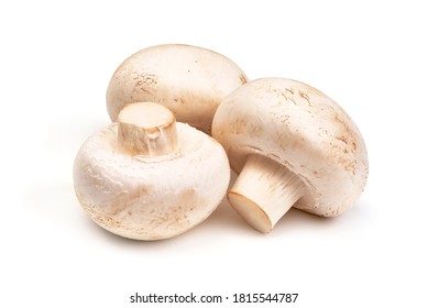 Champignon High Res Stock Images Shutterstock