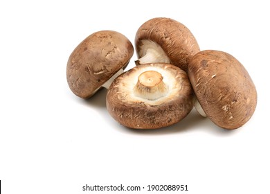 Champignon High Res Stock Images Shutterstock