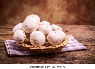 Champignons Mushrooms - Agaricus Bisporus