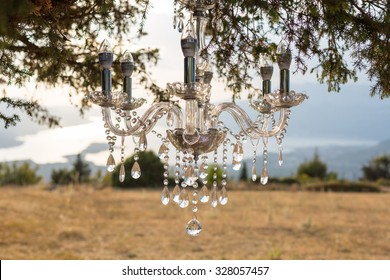 Chandelier On The Tree Part Of The Wedding Decor