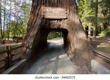 Chandelier Tree