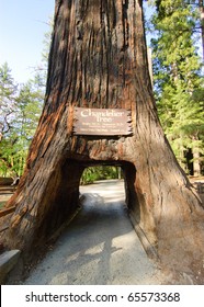 Chandelier Tree