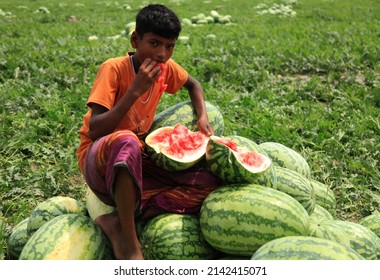 1,998 Broken watermelon Images, Stock Photos & Vectors | Shutterstock