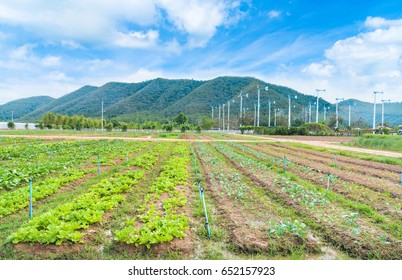 Chang Hua Mun Royal Initiative Project, Windmills Alternative And Sustainability Of Energy From Nature With Farm Land At Phetchaburi Province,Thailand