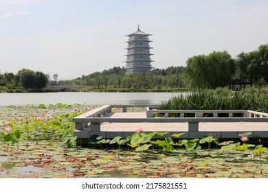 The Changan Tower of xi 'an International Horticultural Exhibition in Shaanxi Province - Shutterstock ID 2175821551