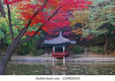 Changdeokgung Palace Secret Garden