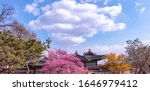 Changdeokgung Palace in Spring South Korea