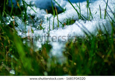 Similar – Image, Stock Photo Winter vs. Spring