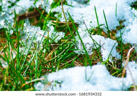 Similar – Image, Stock Photo Winter vs. Spring