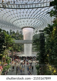 Changi, Singapore - August 12, 2019 : View Inside The Singapore Changi Airport, A World Class Service Icon And Destination In Itself.