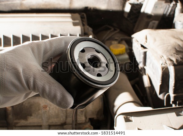 changing\
engine oil for a car, a man in a glove holds a new oil filter.\
concept car maintenance and repair. copy\
space.