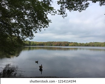 Changing Leaves On An Autumn Day At Southards Pond In Babylon, Long Island NY 