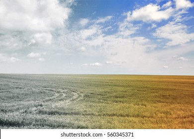 The Changing Of The Seasons In One Picture. Climate Change. Weather Conditions Are Changing. Times Of The Year. Field And Sky Landscape.