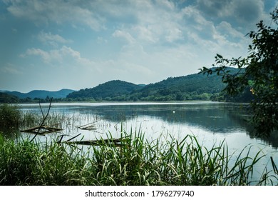 ChangNyung, Korea - Aug.15.2020 : Upo Swamp In Korea. It Is Designated By Ramsar Convention.