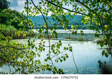 ChangNyung, Korea - Aug.15.2020 : Upo Swamp In Korea. It Is Designated By Ramsar Convention.