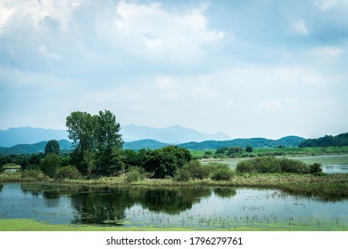 ChangNyung, Korea - Aug.15.2020 : Upo Swamp In Korea. It Is Designated By Ramsar Convention.