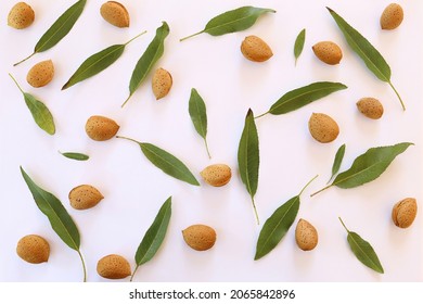 Chaotic pattern of leaves and almonds in a shell on a white background. Top down view.