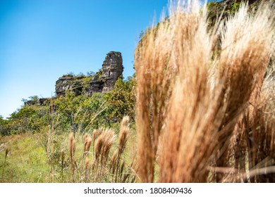 Chapada Dos Guimarães National Park, Mato Grosso, Brazil.