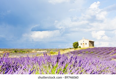 Chapel With Lavender Field, Plateau De Valensole, Provence, France