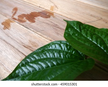 chaplu leaf and letter write by water