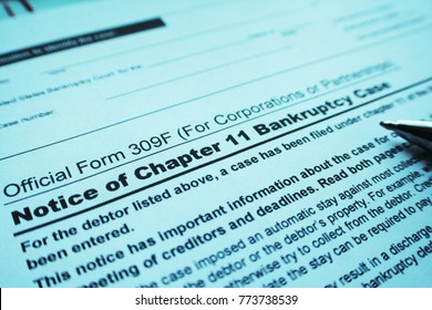 Chapter 11 Bankruptcy Form