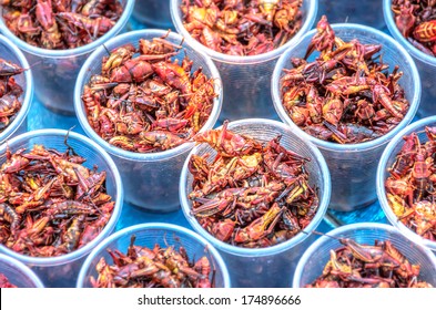 391 Chapulines Images, Stock Photos & Vectors | Shutterstock