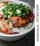 Char siu and soy sauce chicken rice