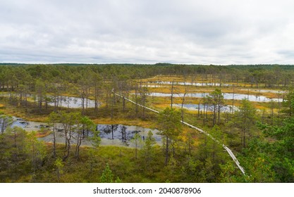 Characteristic aerial view of a wetland area (Ombrotrophic moore). Natural trail in Viru raised bog in humid autumn day. Colorful peat moss floating ground between deep hollows, duckboards path.