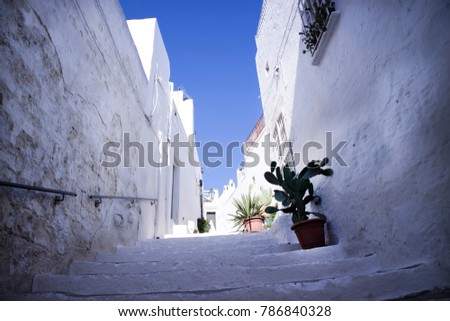 The characteristic white pedestrian streets of the city of Ostuni Puglia Italy
