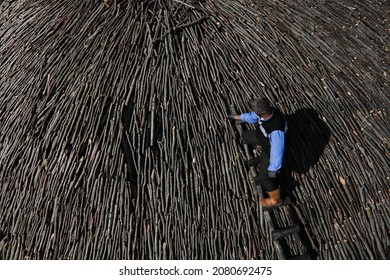 Charcoal Making, Traditional Charcoal, Traditional Business