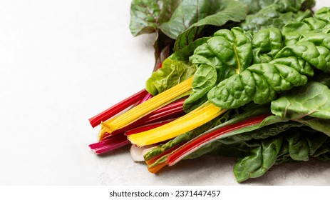 chard stems on a light background. Copy space. Banner.