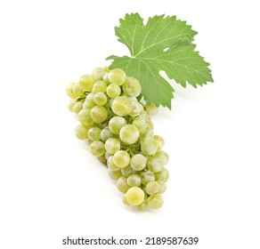 Chardonnay Grape With A Vine Leaf On White Background.