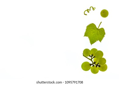 Chardonnay Grapes With Leaf Isolated On White Background With Copy Space