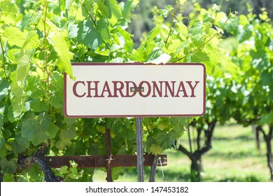 Chardonnay Grapes Sign