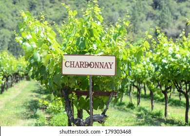 Chardonnay Grapes Sign