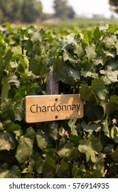 Chardonnay Sign