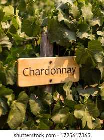 A Chardonnay Sign In A Vineyard.