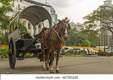 The chariot by the park - Shutterstock ID 667281628