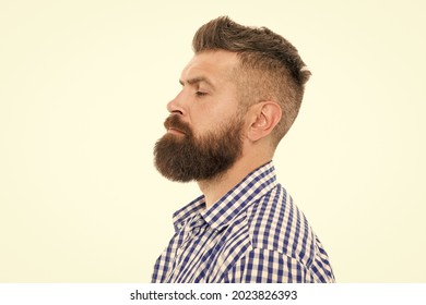 Charismatic Male Looking Serious. Mustache From Barber. Mature Hipster With Beard. Trendsetter Hipster With Mustache Profile. Mustachioed And Bearded Male. After Hairdresser Salon. Barbershop Master