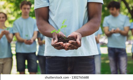 Charity, environment, ecology, agriculture and nature concept. African-american man hands holding plant in soil, copy space - Powered by Shutterstock