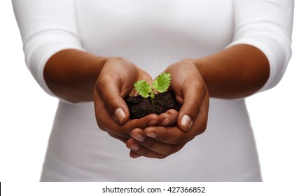 charity, environment, ecology, agriculture and nature concept - closeup of african american woman hands holding plant in soil - Powered by Shutterstock