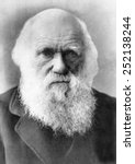 Charles Darwin (1809-1882), circa 1870s-1980s.
